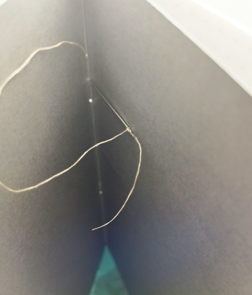 an alternative bookbinding concept Susy Andrews